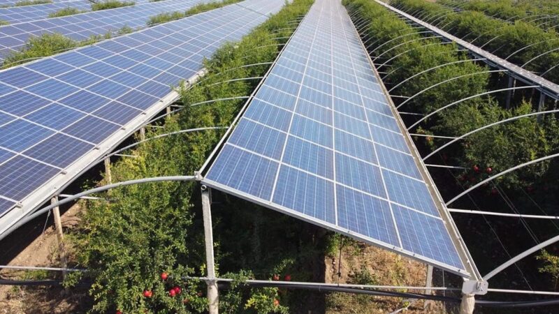 La sfida dell’agrovoltaico, seminario degli agronomi a Catania