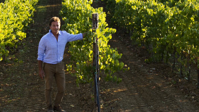 A SOStain il premio “Progetto Qualità 2023” di DoctorWine