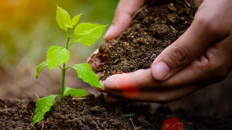 Agroecologia, decreto fermo al palo per la legge voluta dall’Ars