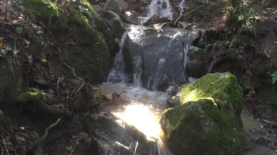 corsi d'acqua