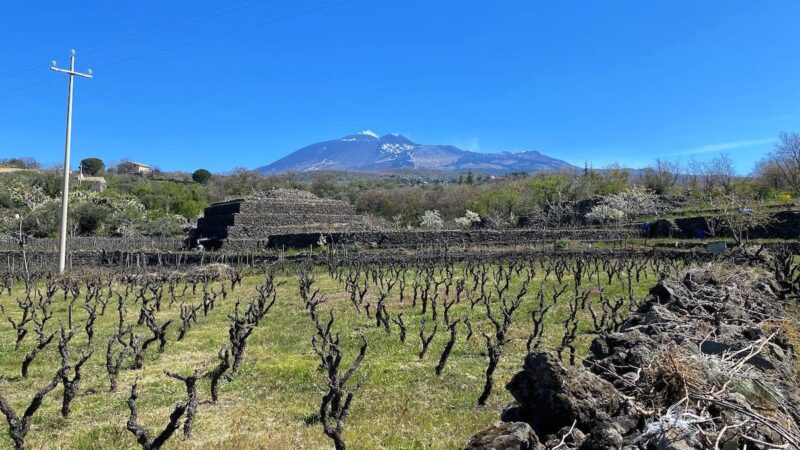 Biancavilla Etna Wine Forum, il Sud-Ovest dell’Etna di racconta