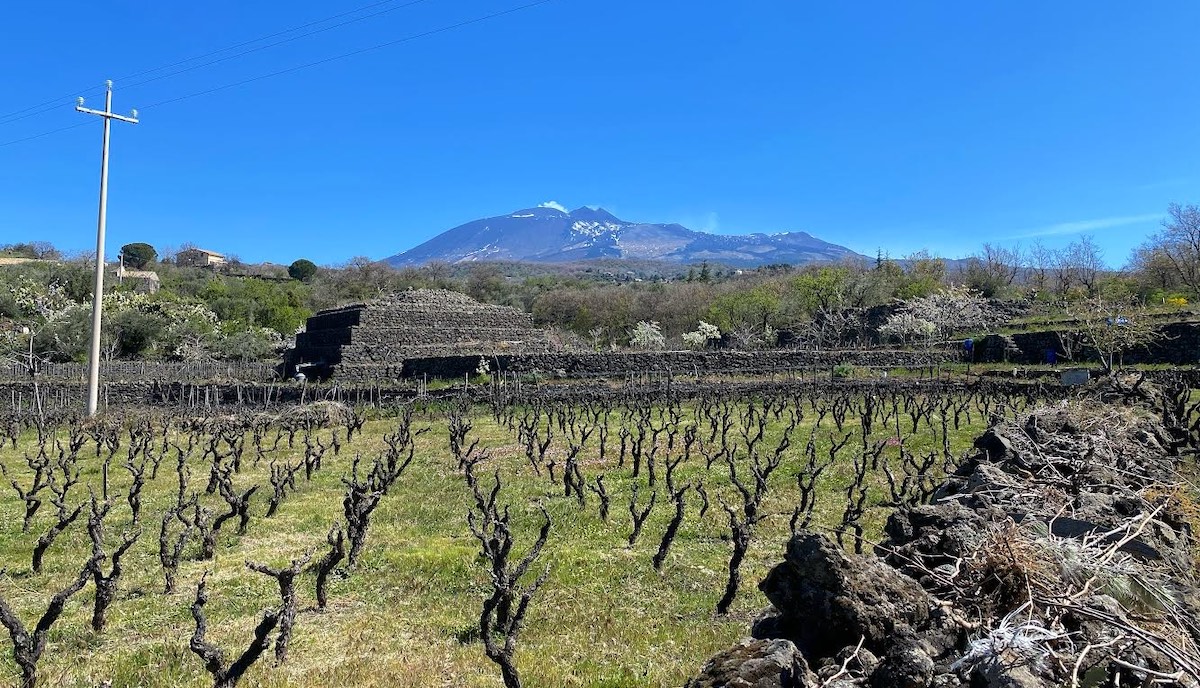 Biancavilla Etna Wine Forum, il Sud-Ovest dell’Etna di racconta