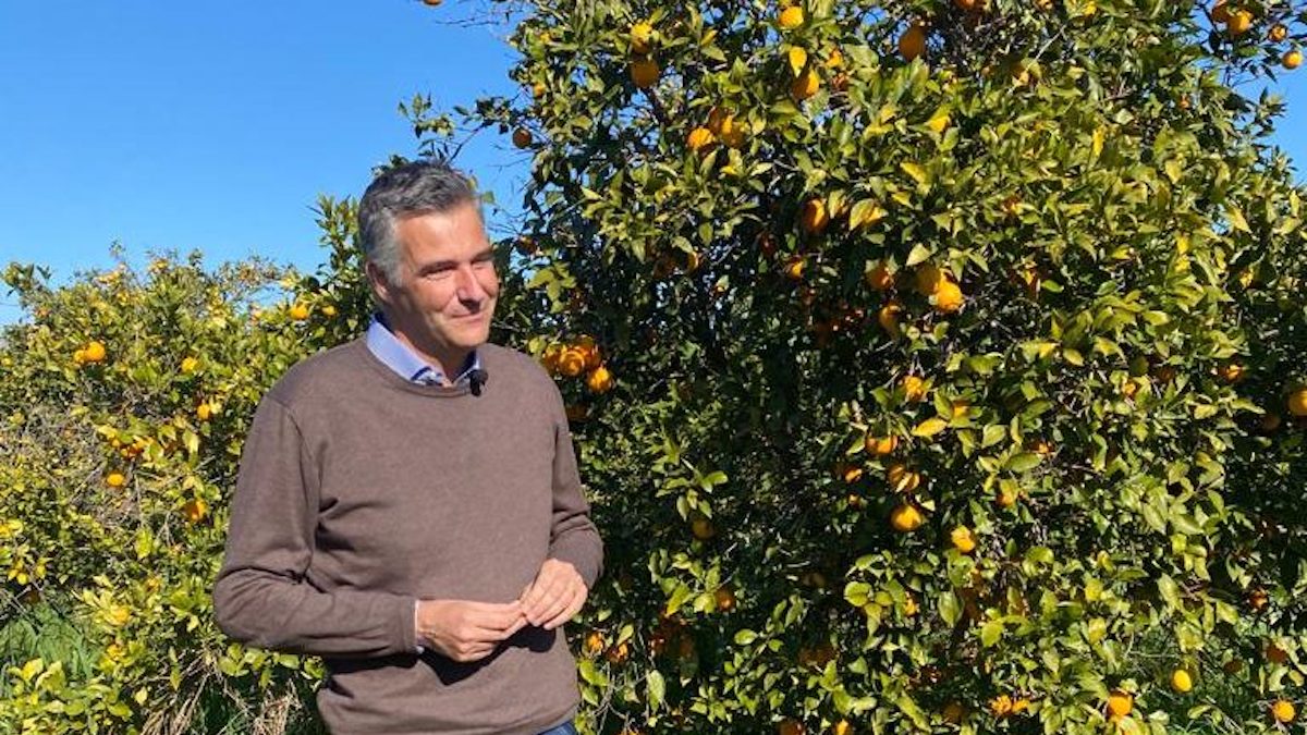 Consorzio Arancia Rossa Igp, al via la campagna di adesione 2023/24