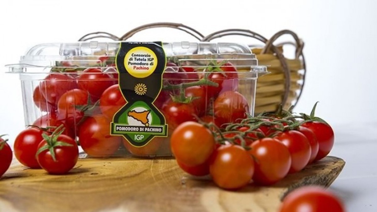 Pomodoro di Pachino Igp, dal caro gas nuovi slanci commerciali