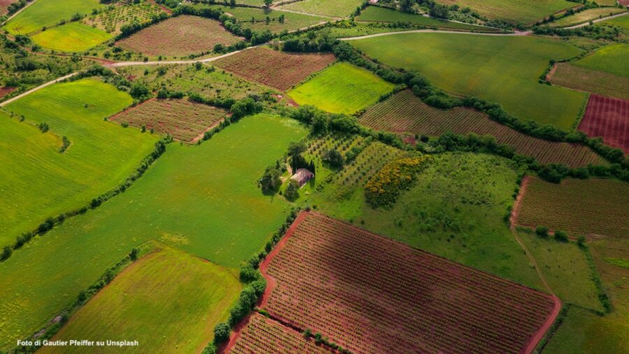 banca della terra Ismea
