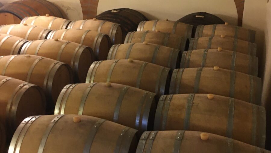 Ocm vino cantine