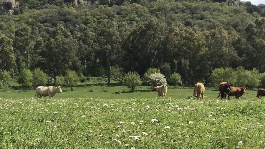 bandi Natura 2000 e misure agroclimatiche