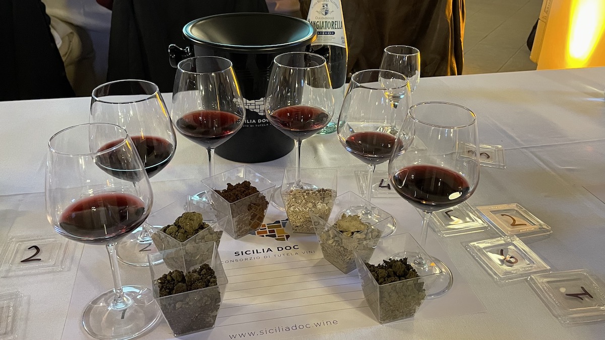 Nero d’Avola, le mille sfumature di un vino iconico per la Sicilia
