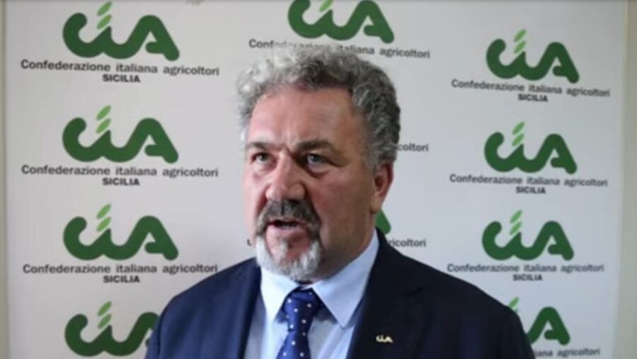 Graziano Scardino Cia Sicilia