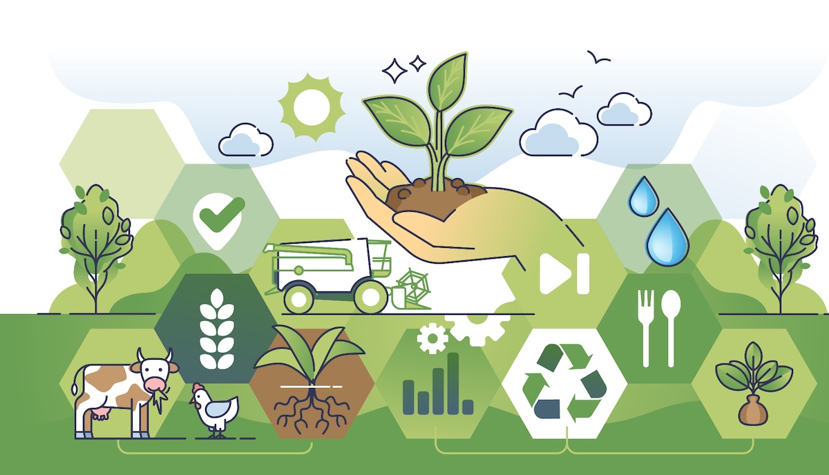 Nuova Pac ed ecoschemi, come li vede l’agricoltura bio?