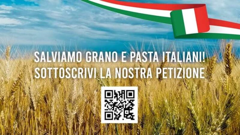 Grano-pasta, boom della petizione Cia: verso 50 mila firme