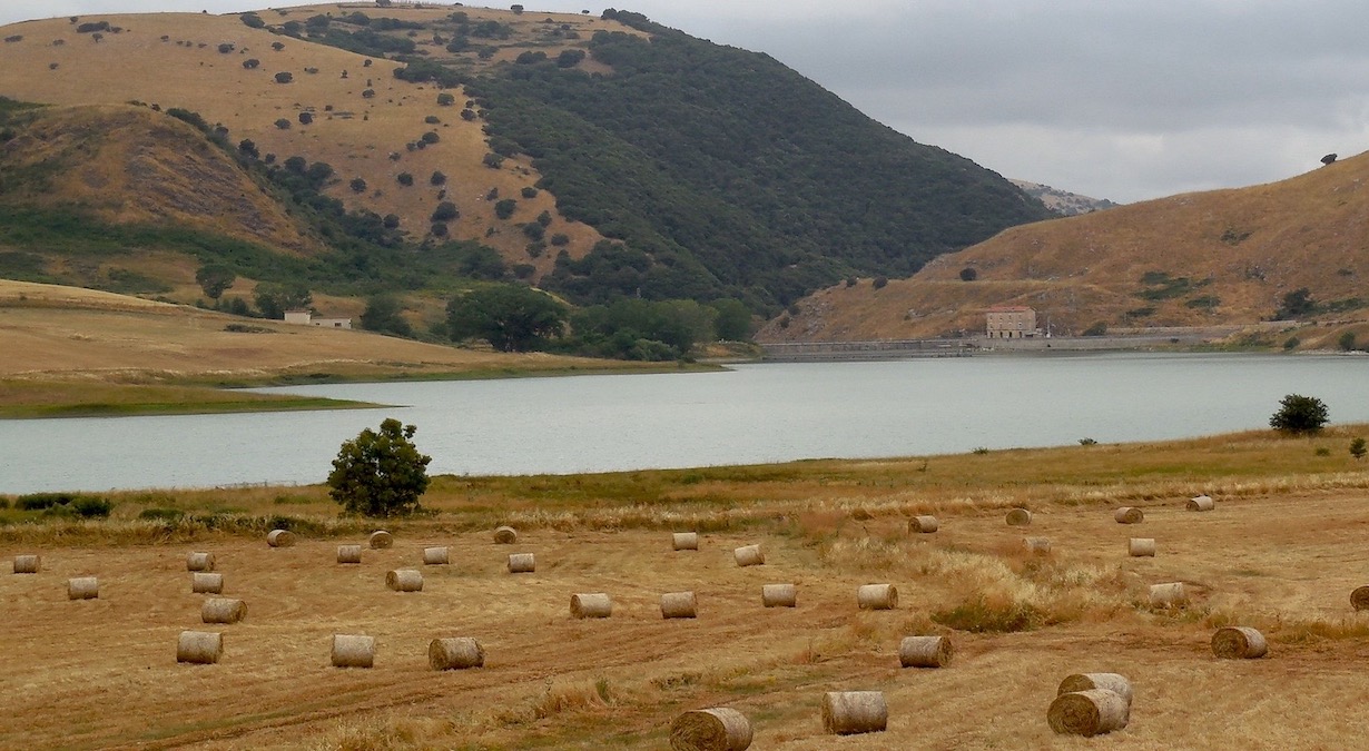 Innovazione nell’agricoltura mediterranea sostenibile, conferenza a Palermo