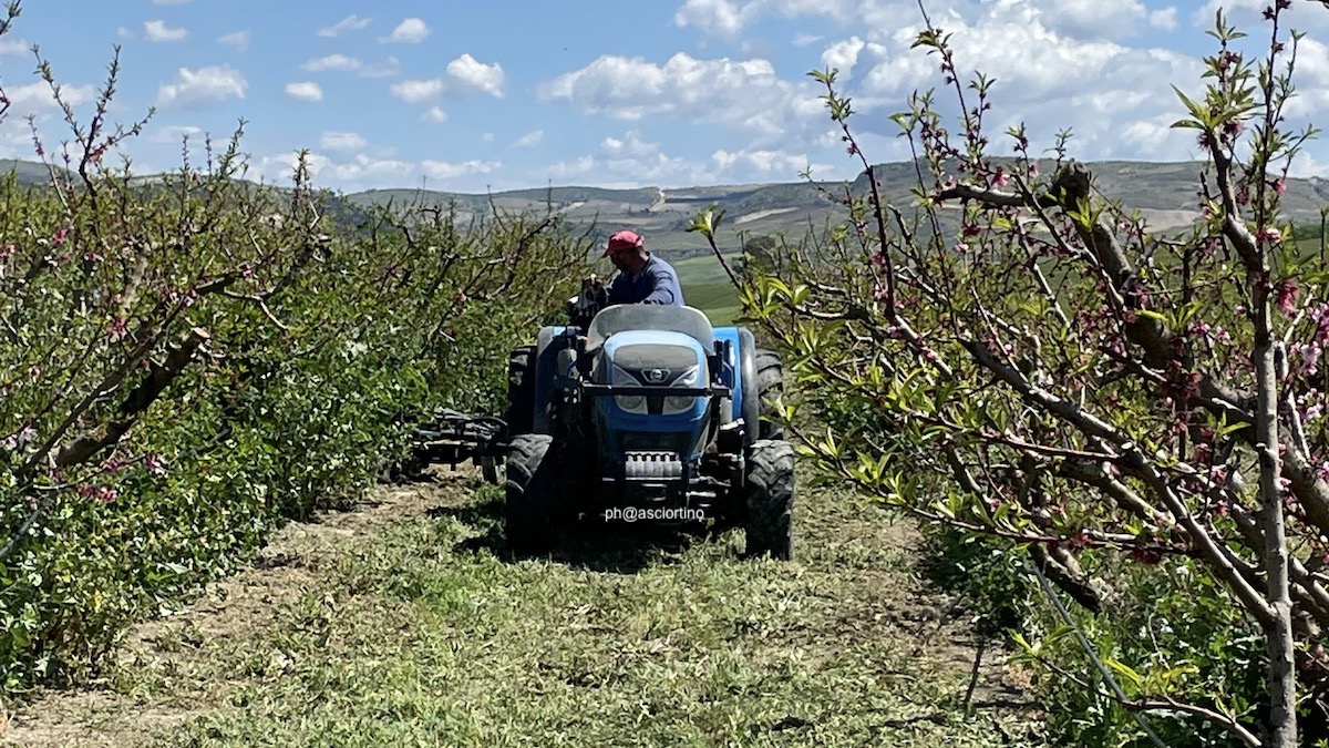 Emergenza lavoro, da Confagricoltura appello a fare sistema