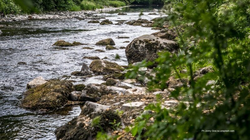 Fiumi, avviso per riutilizzare la vegetazione invasiva 