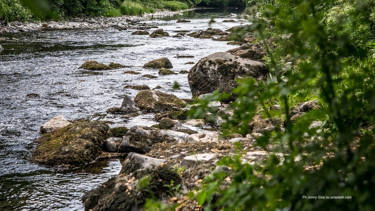 Fiumi, avviso per riutilizzare la vegetazione invasiva 