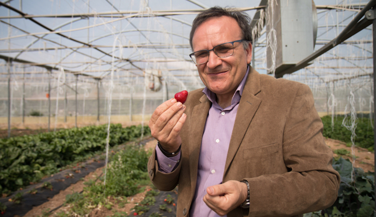 Eu Organic Awards, il ragusano Giadone (Natura Iblea) tra i finalisti