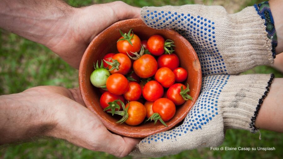 cultura del cibo