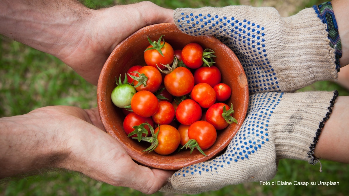 In Italia non mangiano bene né poveri né ricchi: s’è persa la cultura del cibo