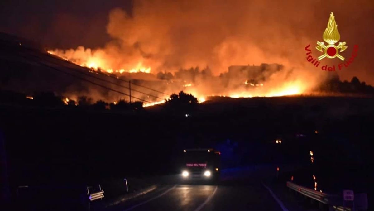 Incendi, comincia la conta dei danni all’agricoltura e alla zootecnia