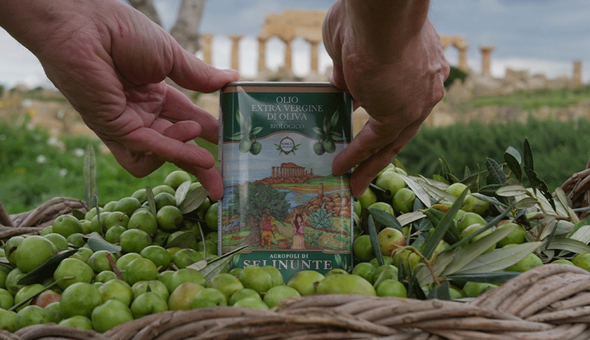 Archeo-olivicoltura a Selinunte, così nasce l’olio bio del parco