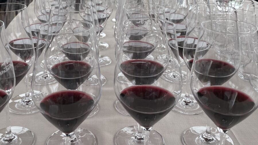 Vino Connect Sicilia