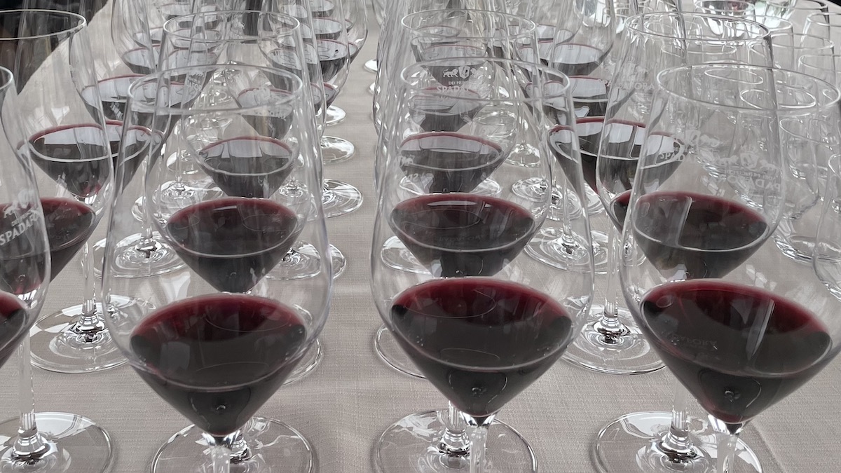 Vino Connect Sicilia, il progetto che valorizza la filiera vitivinicola