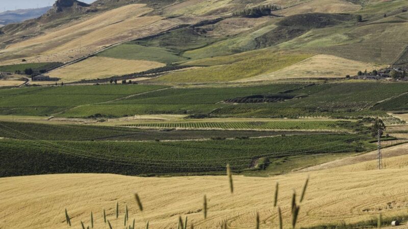 Fiera agricola e mostra mercato nel borgo arbershe di Kuntisa