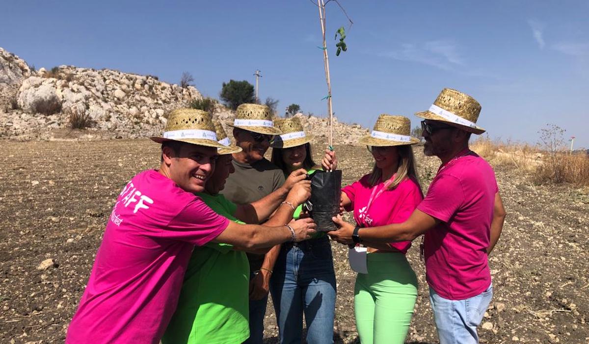 Fastuca Fest, ad Agrigento il museo vivente del pistacchio