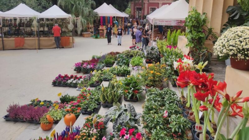 All’Orto botanico di Palermo la 25a edizione de La Zagara