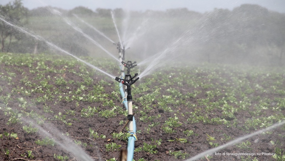 Campagna irrigua prorogata nella Sicilia occidentale