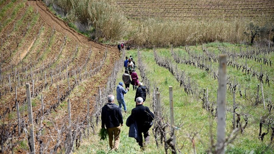 scuola di agroecologia