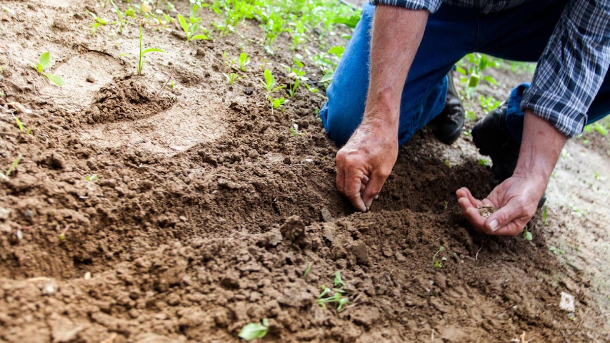 Agroecologia, la legge regionale bipartisan che rimane nel cassetto