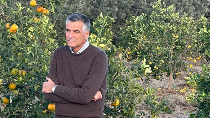 Nuove fitopatie agrumi, sulla prevenzione serve asse Italia-Spagna