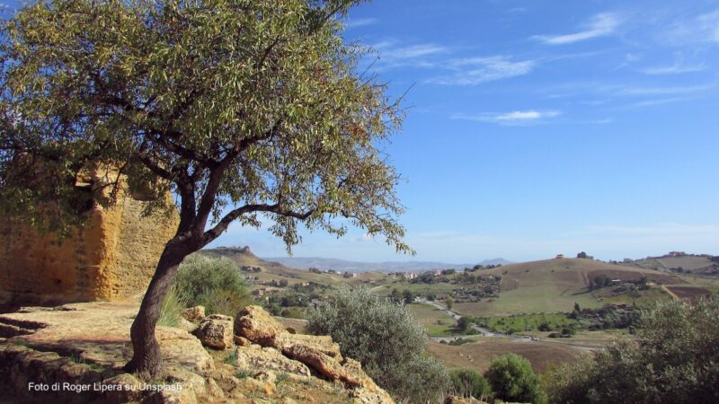 Biodistretto agroecologico Valle dei Templi di Agrigento, iter al via