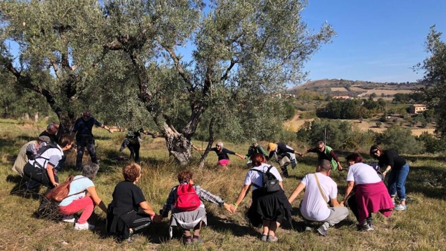 camminata tra gli olivi