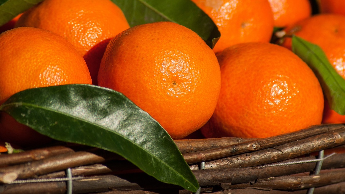 Clementine di Confagricoltura Donna per i centri antiviolenza