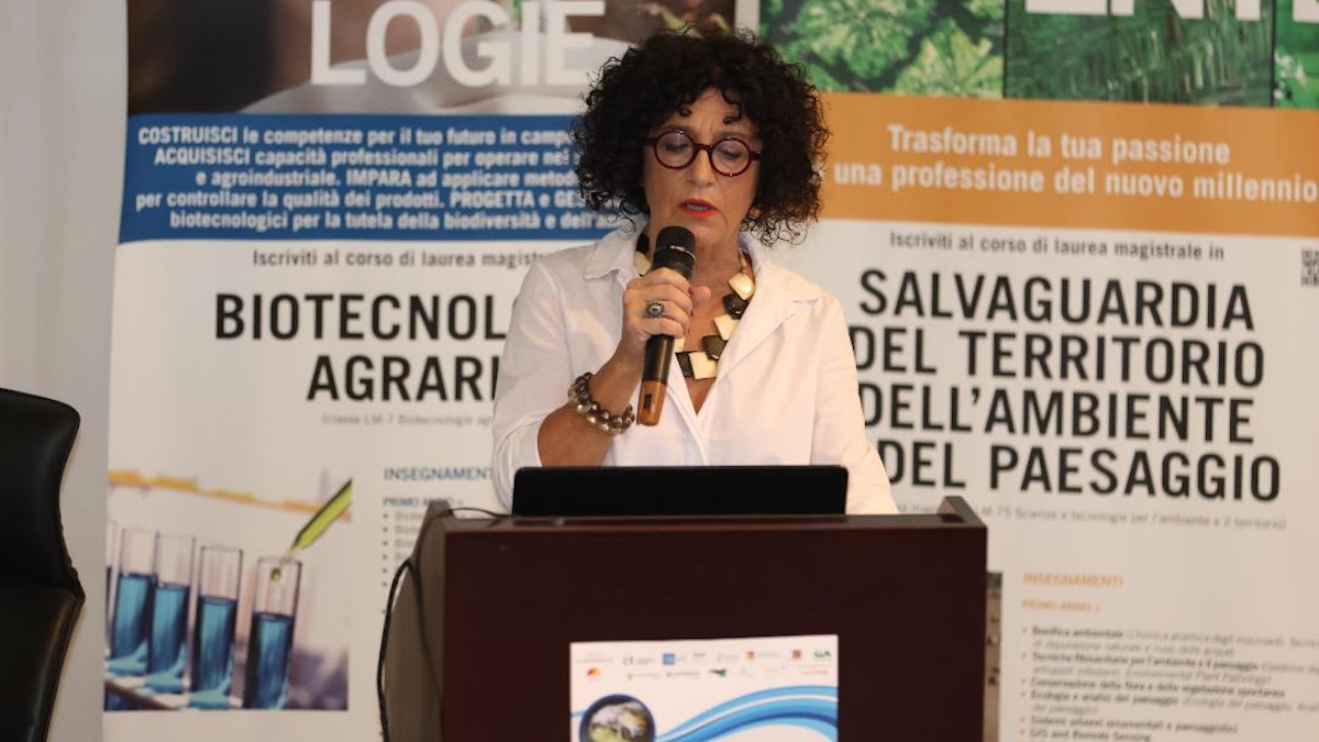 Distretto Agrumi, convocata assemblea di soci e stakeholder
