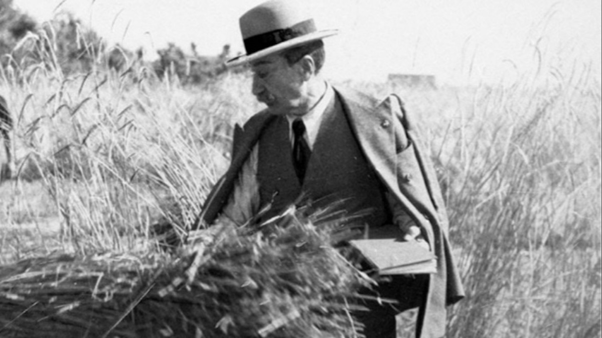 Al Masaf un museo dedicato a Strampelli , l'”Uomo del grano”