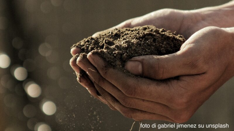 Giornata mondiale del suolo, terreno fertile per produrre di più