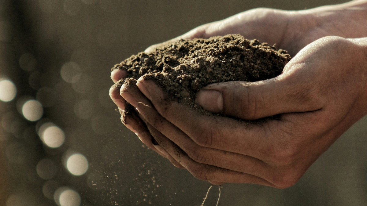 Bando bio 2023, in pagamento tutte le domande accolte