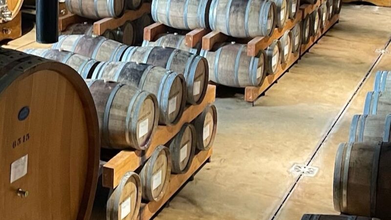 Ocm Vino 2023/24, 86 le aziende ammesse a nuovi investimenti