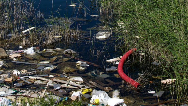 “Salvamare”, il progetto per pulire dalle plastiche i corsi d’acqua