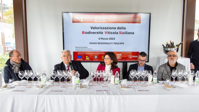 Viticoltura, da biodiversità le identità enologiche per i vini del futuro