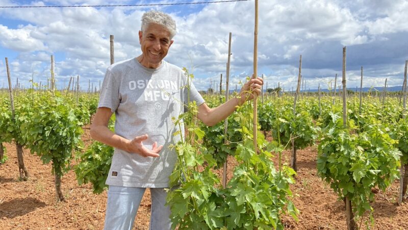 Cerasuolo di Vittoria, cambio della guardia al consorzio di tutela