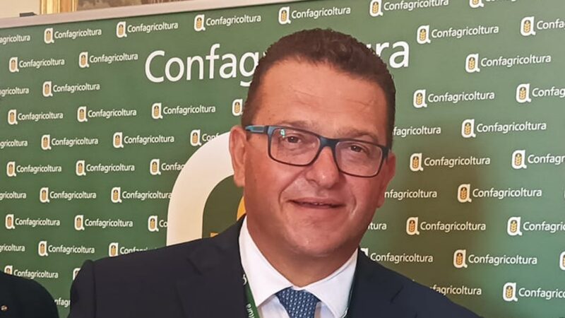 Confagri Sicilia, interim agricoltura a Schifani fino alle europee