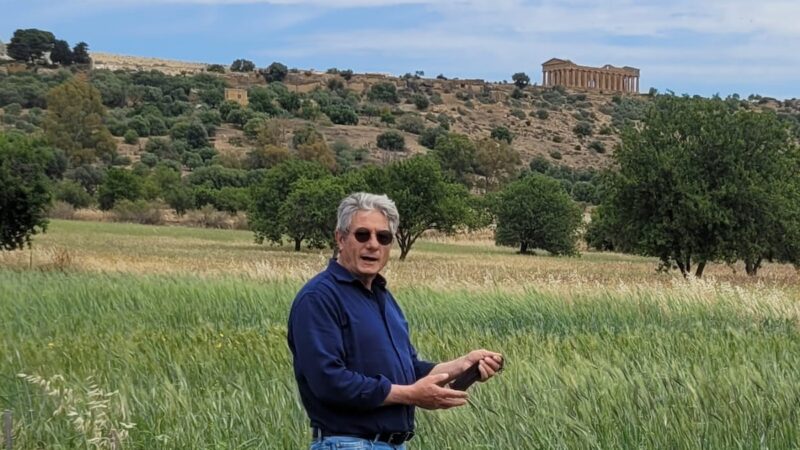 Parco della Valle dei Templi, al via corso su biodiversità agricola