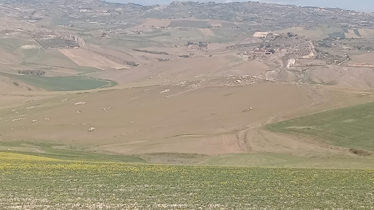 Siccità, all’agricoltura 37,4 mln di euro dal fondo di solidarietà Eu