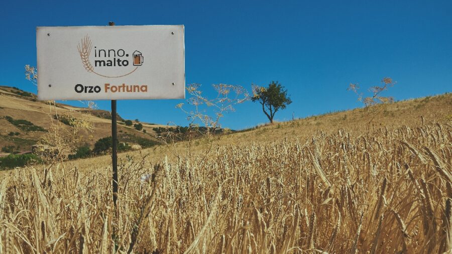 InnoMalto