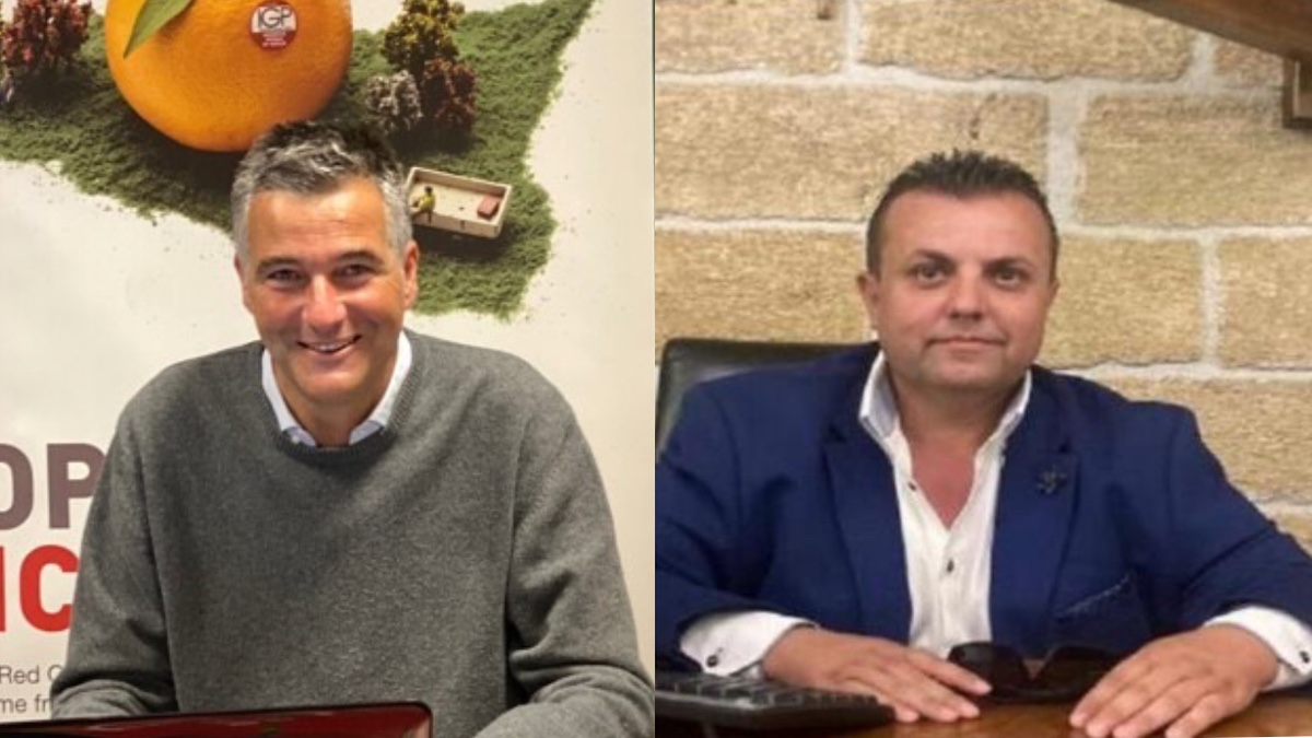 Siccità, Sos Consorzi Arancia Rossa Igp e Arancia di Ribera Dop