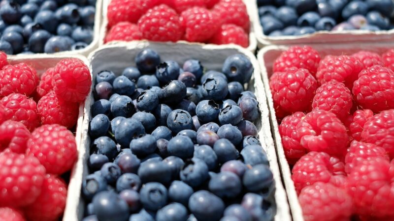 Fragola e piccoli frutti, l’11 luglio a Marsala il terzo simposio